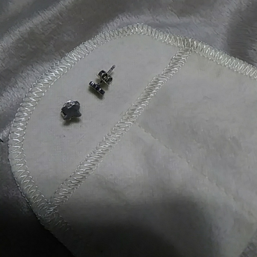 Texas stud earrings